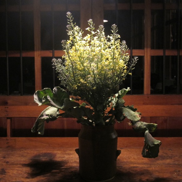 flores de brocoli- lovely gourmet